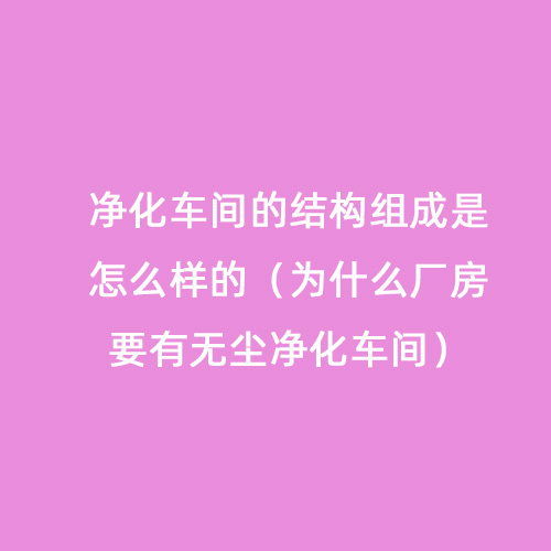 凈化車間的結構組成是怎么樣的（為什么廠房要有無塵凈化車間）